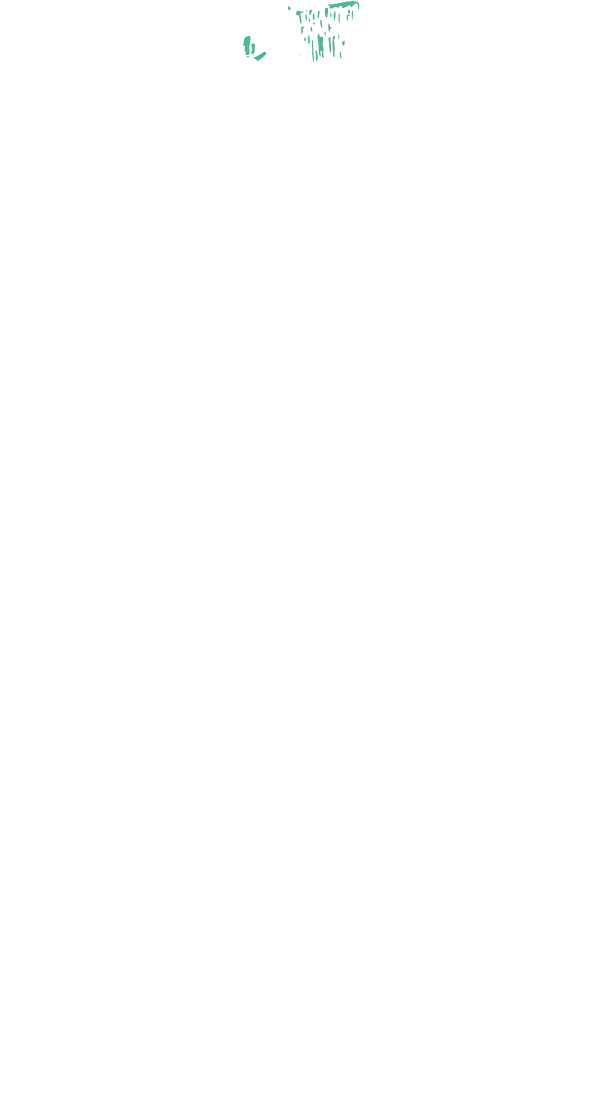 fenchel-sapore
